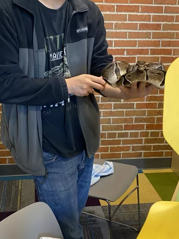 Cuellar's Critters @ Britton Village Park